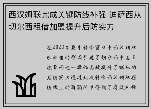 西汉姆联完成关键防线补强 迪萨西从切尔西租借加盟提升后防实力